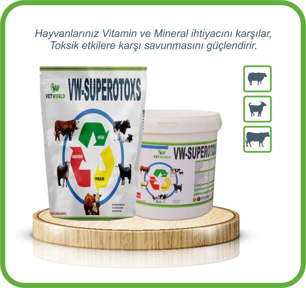 VW-REPİRATUAR DESTEK